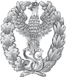 Logo Akademia Sztuki Wojennej